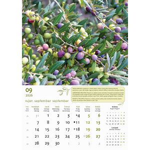 zidni-kalendar-automobili-13-listova-335x31-cm-57396-ja000234_263715.jpg