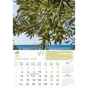 zidni-kalendar-automobili-13-listova-335x31-cm-57396-ja000234_263716.jpg