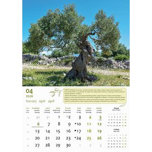 zidni-kalendar-automobili-13-listova-335x31-cm-57396-ja000234_263720.jpg