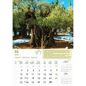 zidni-kalendar-automobili-13-listova-335x31-cm-57396-ja000234_263723.jpg