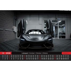zidni-kalendar-automobili-13-listova-335x31-cm-84663-ja000234_263694.jpg