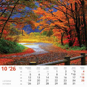 zidni-kalendar-automobili-13-listova-335x31-cm-84663-ja000234_263708.jpg
