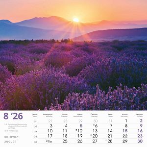 zidni-kalendar-automobili-13-listova-335x31-cm-84663-ja000234_263710.jpg