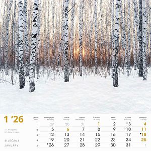 zidni-kalendar-cari-prirode-13-listova-33x40-cm-88393-ja000226_263689.jpg