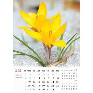 zidni-kalendar-cvijece-13-listova-24x535-cm-color-tisak-14767-ja0020920_265389.jpg