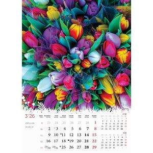 zidni-kalendar-cvijece-13-listova-24x535-cm-color-tisak-14767-ja0020920_265390.jpg
