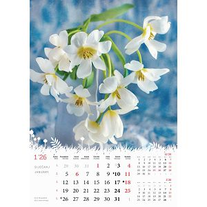 zidni-kalendar-cvijece-s-13-listova-format-24x535-cm-50549-ja000183_263956.jpg
