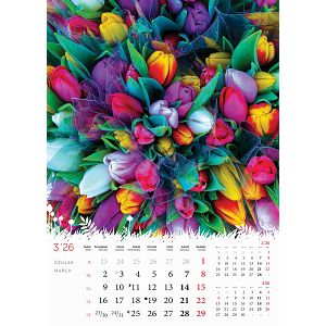 zidni-kalendar-cvijece-s-13-listova-format-24x535-cm-50549-ja000183_263958.jpg