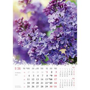 zidni-kalendar-cvijece-s-13-listova-format-24x535-cm-50549-ja000183_263960.jpg