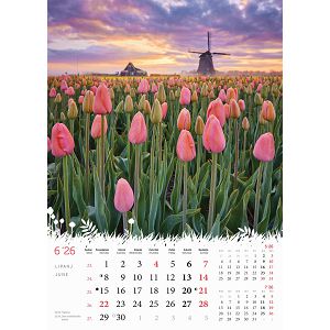 zidni-kalendar-cvijece-s-13-listova-format-24x535-cm-50549-ja000183_263961.jpg