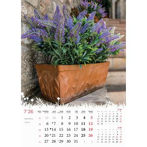 zidni-kalendar-cvijece-s-13-listova-format-24x535-cm-50549-ja000183_263962.jpg