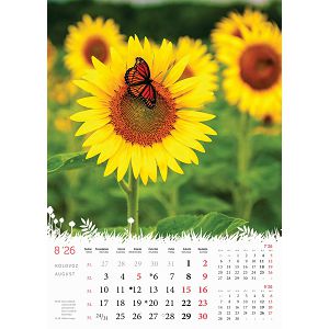 zidni-kalendar-cvijece-s-13-listova-format-24x535-cm-50549-ja000183_263963.jpg