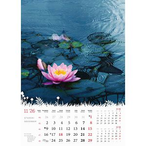 zidni-kalendar-cvijece-s-13-listova-format-24x535-cm-50549-ja000183_263966.jpg