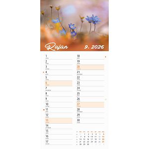 zidni-kalendar-cvjetni-planer-13-listova-22x55-cm-94884-ja100194_263950.jpg