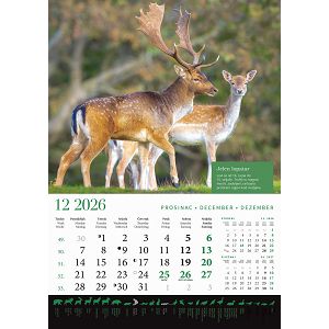 zidni-kalendar-lova-13-listova-305x50-cm-30559-ja000191_263609.jpg