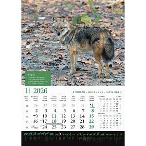 zidni-kalendar-lova-13-listova-305x50-cm-30559-ja000191_263610.jpg