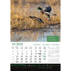 zidni-kalendar-lova-13-listova-305x50-cm-30559-ja000191_263611.jpg