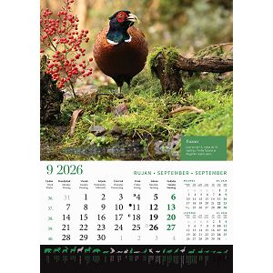 zidni-kalendar-lova-13-listova-305x50-cm-30559-ja000191_263612.jpg