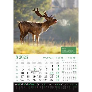 zidni-kalendar-lova-13-listova-305x50-cm-30559-ja000191_263613.jpg