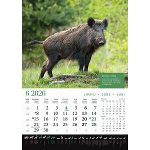 zidni-kalendar-lova-13-listova-305x50-cm-30559-ja000191_263615.jpg