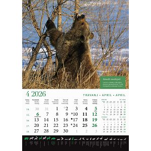 zidni-kalendar-lova-13-listova-305x50-cm-30559-ja000191_263617.jpg