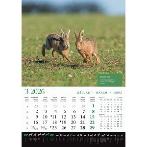 zidni-kalendar-lova-13-listova-305x50-cm-30559-ja000191_263618.jpg
