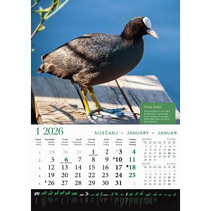 zidni-kalendar-lova-13-listova-305x50-cm-30559-ja000191_263620.jpg