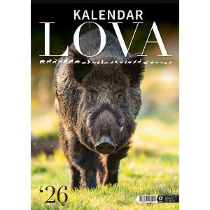 zidni-kalendar-lova-13-listova-305x50-cm-30559-ja000191_263621.jpg