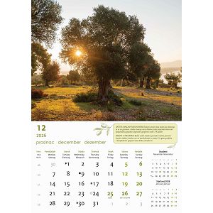 zidni-kalendar-masline-13-listova-305x50-cm-45300-ja000281_263740.jpg