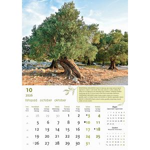 zidni-kalendar-masline-13-listova-305x50-cm-45300-ja000281_263742.jpg