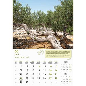 zidni-kalendar-masline-13-listova-305x50-cm-45300-ja000281_263746.jpg