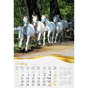 zidni-kalendar-moja-zlatna-slavonija-i-baranja-13-listova-33-49623-ja2097_263975.jpg