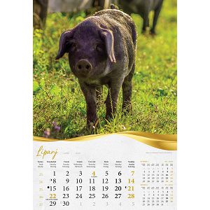 zidni-kalendar-moja-zlatna-slavonija-i-baranja-13-listova-33-49623-ja2097_263976.jpg