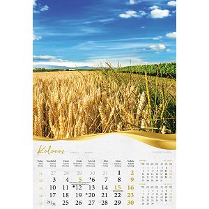 zidni-kalendar-moja-zlatna-slavonija-i-baranja-13-listova-33-49623-ja2097_263978.jpg