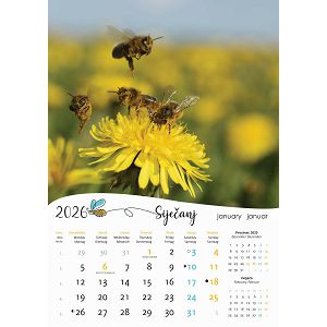 zidni-kalendar-pcele-13-listova-305x50-cm-25012-a106-01_264013.jpg