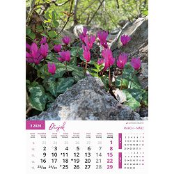 zidni-kalendar-priroda-13-listova-305x50-cm-49137-ja103_1.jpg