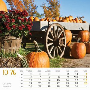 zidni-kalendar-seoska-idila-13-listova-33x40-cm-1057-ja000221_263652.jpg