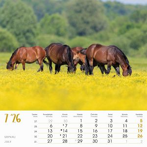 zidni-kalendar-seoska-idila-13-listova-33x40-cm-1057-ja000221_263656.jpg
