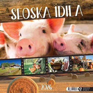 zidni-kalendar-seoska-idila-13-listova-33x40-cm-1057-ja000221_263663.jpg