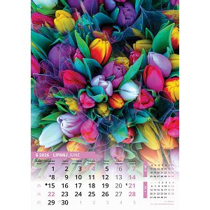 zidni-kalendar-svijet-u-boji-13-listova-305x50-cm-66139-ja6668_264032.jpg