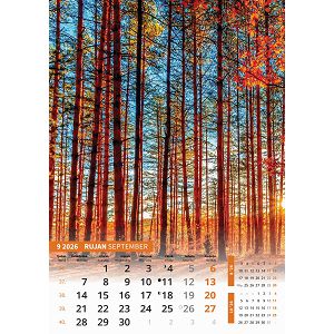 zidni-kalendar-svijet-u-boji-13-listova-305x50-cm-66139-ja6668_264035.jpg