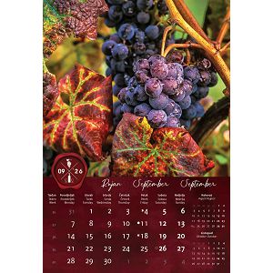 zidni-kalendar-vino-13-listova-33x55-cm-94984-ja000282_263757.jpg