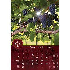 zidni-kalendar-vino-13-listova-33x55-cm-94984-ja000282_263760.jpg