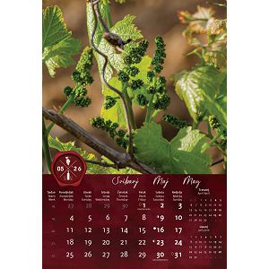 zidni-kalendar-vino-13-listova-33x55-cm-94984-ja000282_263761.jpg