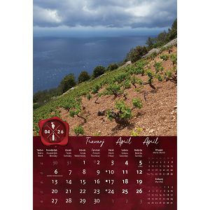 zidni-kalendar-vino-13-listova-33x55-cm-94984-ja000282_263762.jpg