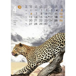 zidni-kalendar-zivotinje-13-listova-24x535-cm-50337-1131_263802.jpg