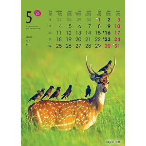 zidni-kalendar-zivotinje-13-listova-24x535-cm-50337-1131_263803.jpg