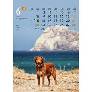 zidni-kalendar-zivotinje-13-listova-24x535-cm-50337-1131_263804.jpg