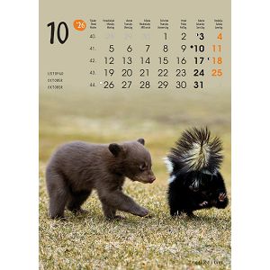 zidni-kalendar-zivotinje-13-listova-24x535-cm-50337-1131_263808.jpg