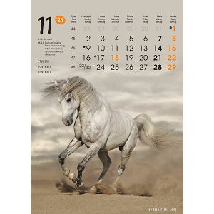 zidni-kalendar-zivotinje-13-listova-24x535-cm-50337-1131_263809.jpg